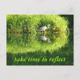 Carte Postale Réflexion de la grue