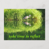 Carte Postale Réflexion de la grue (Devant)