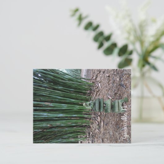 Carte Postale Réflexion silencieuse (Debout devant)