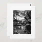 Carte Postale Réflexion tropicale (Devant / Derrière)