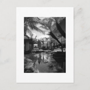 Carte Postale Réflexion tropicale