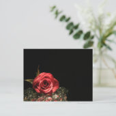 Carte Postale Réflexions (Debout devant)