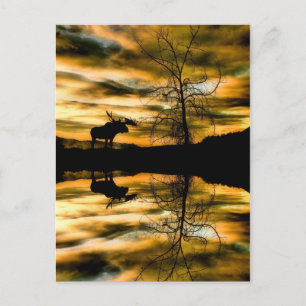 Carte postale Réflexions