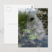 Carte Postale Réflexions au bord de l'eau (Devant / Derrière)