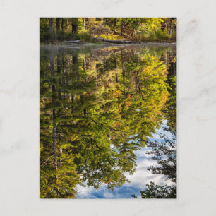 Carte Postale Réflexions dans Red Eagle Pond Montagnes blanche