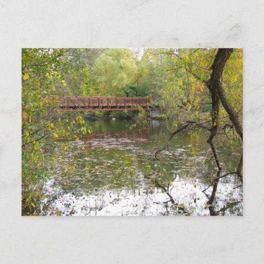 Carte Postale Réflexions d'automne (Devant)