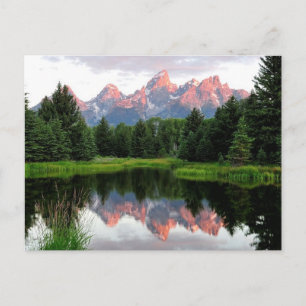 Carte Postale Réflexions de Grand Teton sur l'étang Beaver