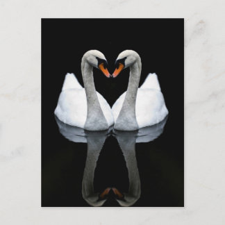 Carte Postale Réflexions de l'amour, forme du coeur, cygnes blan