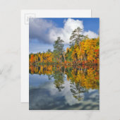 Carte Postale Réflexions de l'étang d'automne, Maine (Devant / Derrière)