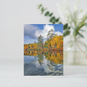 Carte Postale Réflexions de l'étang d'automne, Maine (Debout devant)