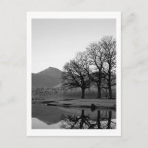 Réflexions de Strandshag Bay à Derwentwater Postca