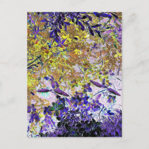 CARTE POSTALE RÉFLEXIONS D'EAU