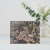 CARTE POSTALE RÉFLEXIONS D'EAU DE FLUX (Debout devant)