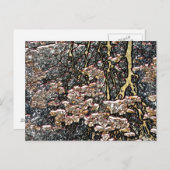 CARTE POSTALE RÉFLEXIONS D'EAU DE FLUX (Devant / Derrière)