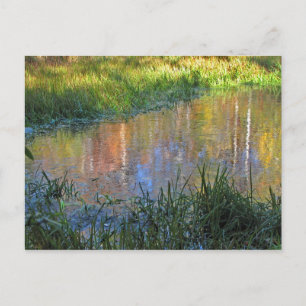 Carte Postale Réflexions des marais d'automne