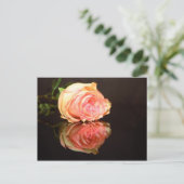 Carte Postale Réflexions du rose (Debout devant)