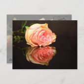 Carte Postale Réflexions du rose (Devant / Derrière)