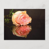 Carte Postale Réflexions du rose (Devant)