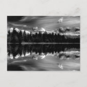 Carte postale Réflexions en noir et blanc (Devant)