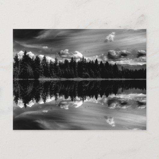 Carte postale Réflexions en noir et blanc (Devant)