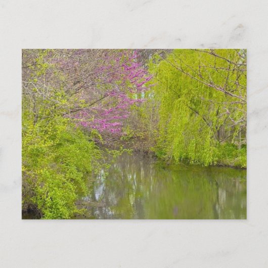 Carte Postale Réflexions sur la nature (Devant)