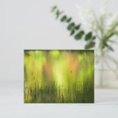 Carte Postale Réflexions sur le lac Mirror | Yosemite (Debout devant)