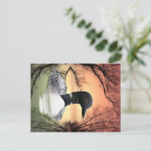 Carte Postale Réflexions sur le Loon (Debout devant)