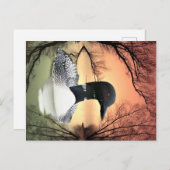 Carte Postale Réflexions sur le Loon (Devant / Derrière)