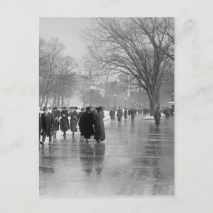 Carte Postale Réflexions Sur Le Pavé Humide