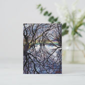 Carte Postale Réflexions sur les étangs 2009 (Debout devant)