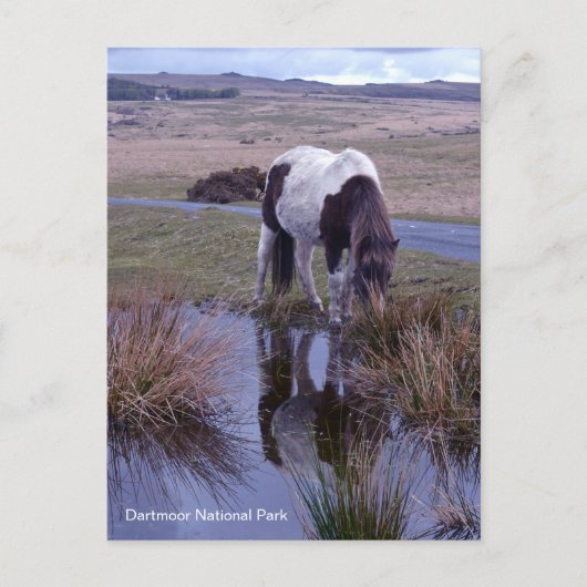 Carte Postale Réflexions sur un Devon du parc national de Pony D (Devant)