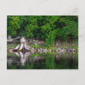 Carte postale Réflexions vertes (Devant)