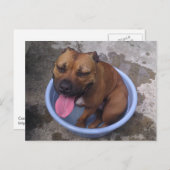 Carte Postale Refroidissement par jour chaud (Devant / Derrière)