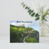 Carte Postale Refuge d'oiseaux (Debout devant)