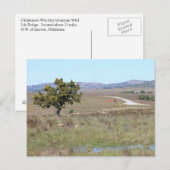 Carte Postale Refuge faunique de Witchita en Oklahoma (Devant / Derrière)