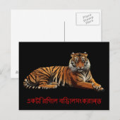 Carte postale Regal Feline (Devant / Derrière)