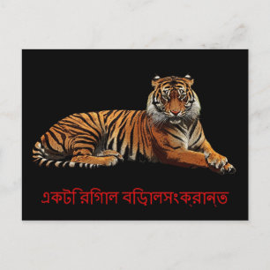 Carte postale Regal Feline