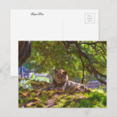 CARTE POSTALE REGAL LION (Devant / Derrière)