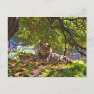 CARTE POSTALE REGAL LION