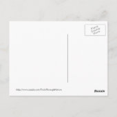 Carte postale Regal Lions (Dos)