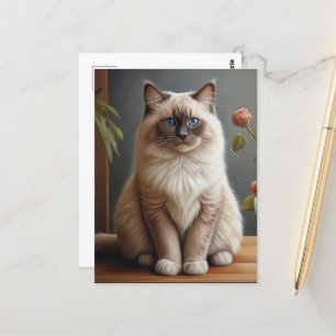 Carte Postale Regal Ragdoll Portrait de chat Fluffy Blue Eyed