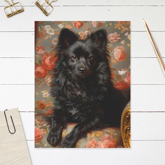 Carte Postale Regal Schipperke Chien Vintage
