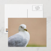 Carte Postale Regard (Devant / Derrière)