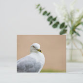 Carte Postale Regard (Debout devant)