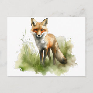 Carte Postale Regard Ambré: Renard de Prairie, personnalisé