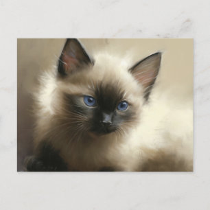 Carte Postale Regard D'Innocence Siamese Kitten Portrait