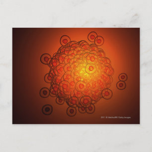 Carte Postale Regard magnifié sur un ovule