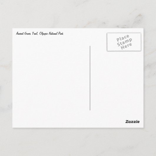 Carte Postale Regard sur la forêt ancienne (Dos)