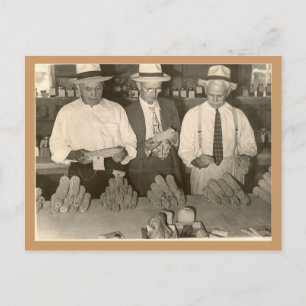 Carte Postale Regard sur le maïs