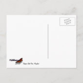 Carte Postale Regard sur les arbres d'été (Dos)